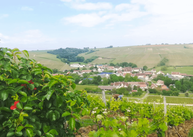 サンセール・ロブラン地域圏