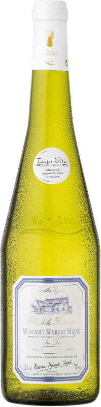 Clos de la Fontaine Muscadet Sèvre et Maine - Domaine de la Foliette