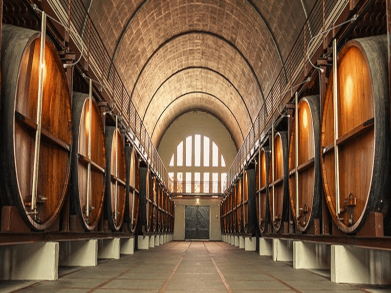 ゴールデンカーンセラービュー