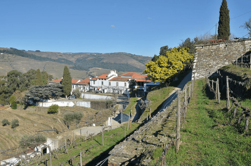 キンタ・ド・ノヴァルのワイナリーを望む眺め