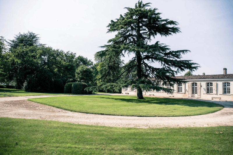 シャトー・プジョーの眺め