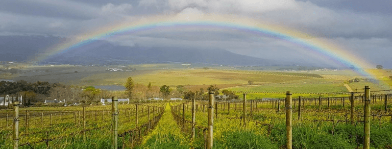 虹の下のデ・モルゲンゾン