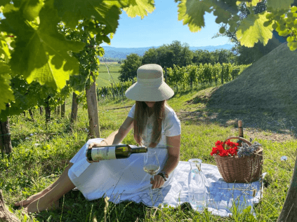 ヴィンヤード by マルコ・フェルガ ヴィンヤード by マルコ・フェルガ