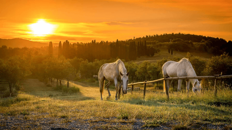 ムスティアイオの絵画のような風景