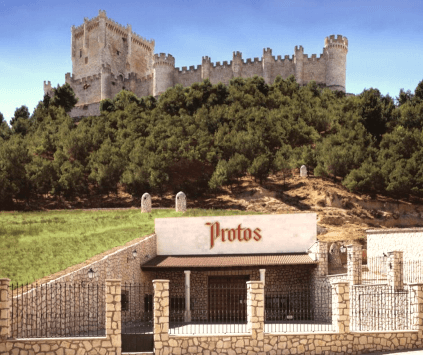 プロトスセラー