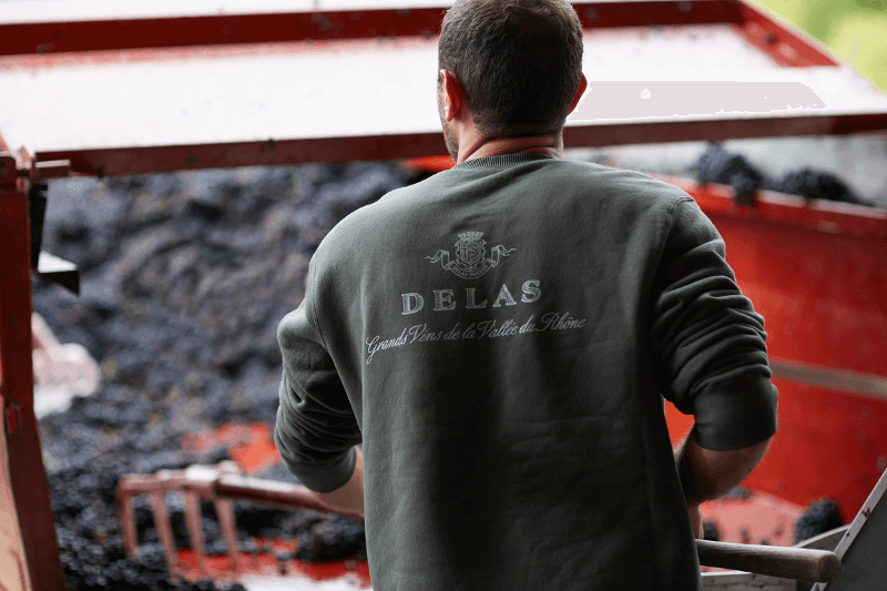 メゾン・ドラスのワインメーカーが活躍