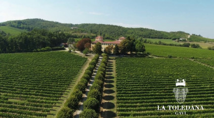 ピエモンテのワイナリー「ラ・トレダーナ」。