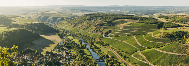 Luftbild der Weinberge um Niederhausen Luftbild der Weinberge um Niederhausen