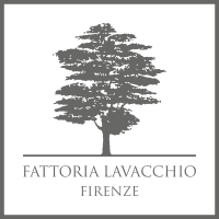 Lavacchio