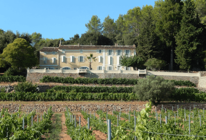 ヴィラ・ヴァロンブロッサ・ワイナリー ヴィラ・ヴァロンブロッサ・ワイナリー