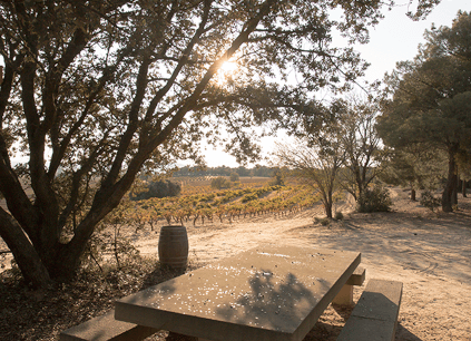 ラ・ホーラの夢見る場所 ラ・ホーラの夢見る場所