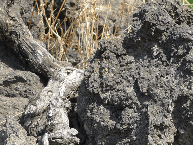 エトナ山の斜面にある玄武岩