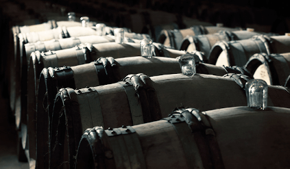 ウィリアム・フェーヴルのワインセラーにて