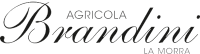 Brandini