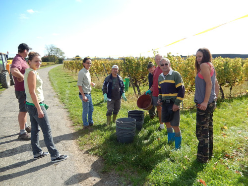 ウルフバーガーチーム