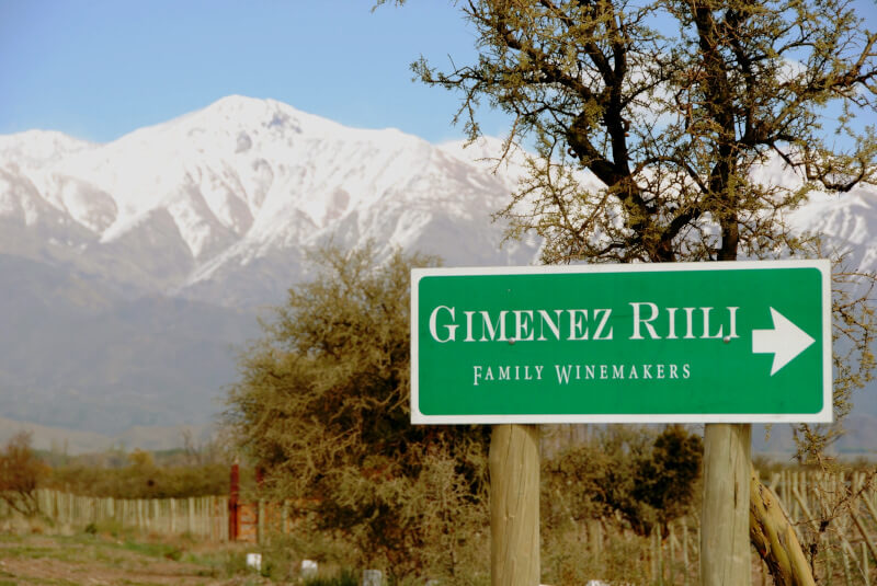 ボデガ・ヒメネス・リリ ワイン畑 ボデガ・ヒメネス・リリ ワイン畑