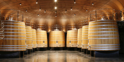 ディナスティア・ビバンコのセラー内の発酵タンク ディナスティア・ビバンコのセラー内の発酵タンク