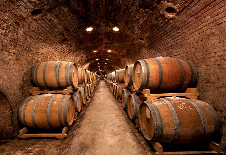 ビドリの樽熟成庫にて