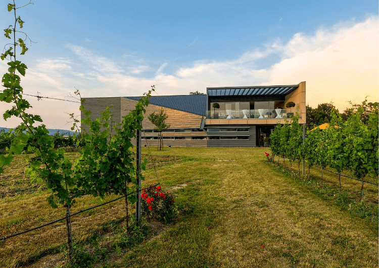 トラウスドルフのエスターハージィ・ワイナリー トラウスドルフのエスターハージィ・ワイナリー