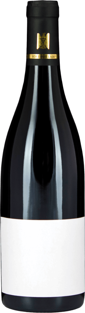 プレビュー: 6x Vorteils-Weinpaket Fellbacher Trollinger SINE trocken - Aldinger