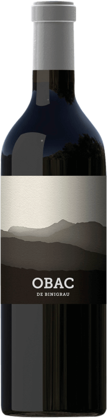プレビュー: 6x Vorteils-Weinpaket Obac - Binigrau