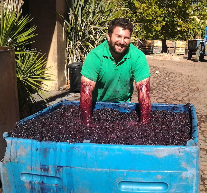 ダニー・ステイトラー・ジュニア