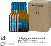 プレビュー: 6er Vorteilspaket - Prosecco Spumante Treviso DOC Extra Dry - Ponte