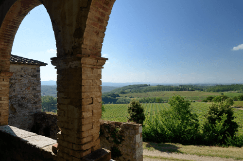 フェルシーナのワイナリーからランチャのブドウ畑を望む