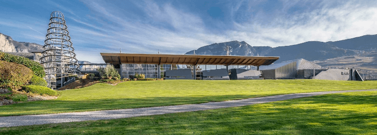 モダンなロータリ社のワインセラー モダンなロータリ社のワインセラー