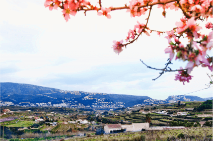 パノラマで見るアリカンテ