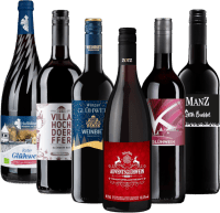 プレビュー: ウィンザーホットワイン冬の時期用 - 6本のお試しパック