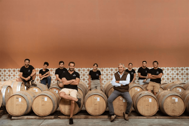 マイノバチーム