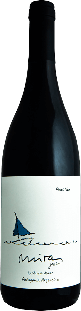 プレビュー: アルゼンチンの隠れたワインの宝物、VINELLOによる - 6本セット探求パッケージ