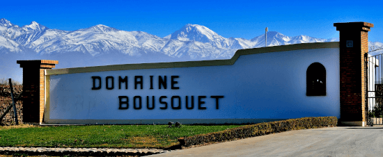 メンドーサのアルゼンチン産ドメーヌ・ブスケ メンドーサのアルゼンチン産ドメーヌ・ブスケ