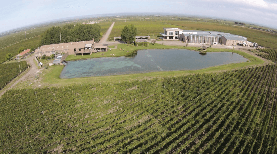 アルゼンチンのドメーヌ・ブスケの全エステート アルゼンチンのドメーヌ・ブスケの全エステート