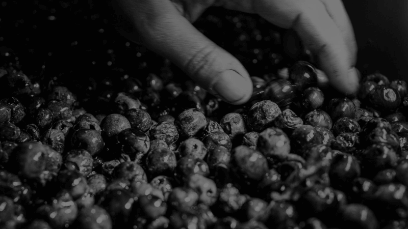 カルメル ジョセフ ワイン