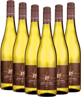 Zwölfter Mann - Ellermann-Spiegel - 6x Vorteilspaket