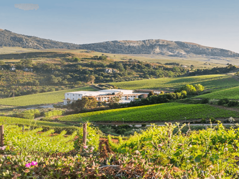 バリオ・ディ・ピアネット・アジエンダ バリオ・ディ・ピアネット・アジエンダ