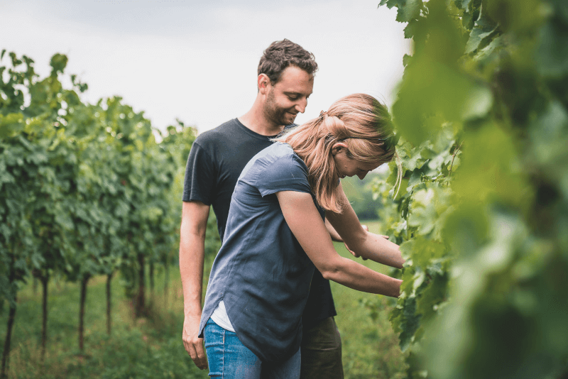 Geyerhof Maria+Josef ガイヤーホフ・マリア+ヨーゼフ