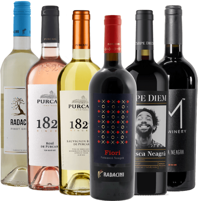 隠された宝物―モルドバのベストセラー 6本入り発見パック