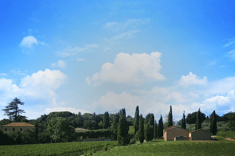 不動産 テヌアータ・ディ・グラッチアーノ・エステート