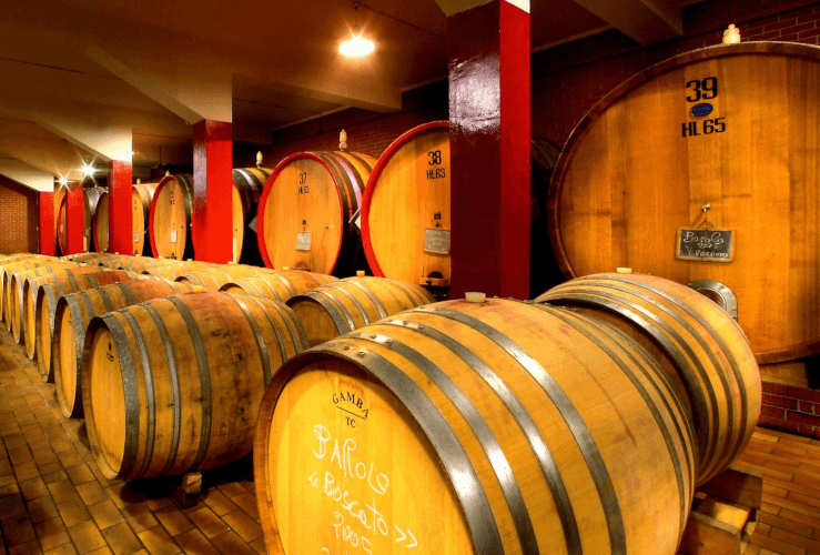 ベル・コレ・ワインセラー ベル・コレ・ワインセラー