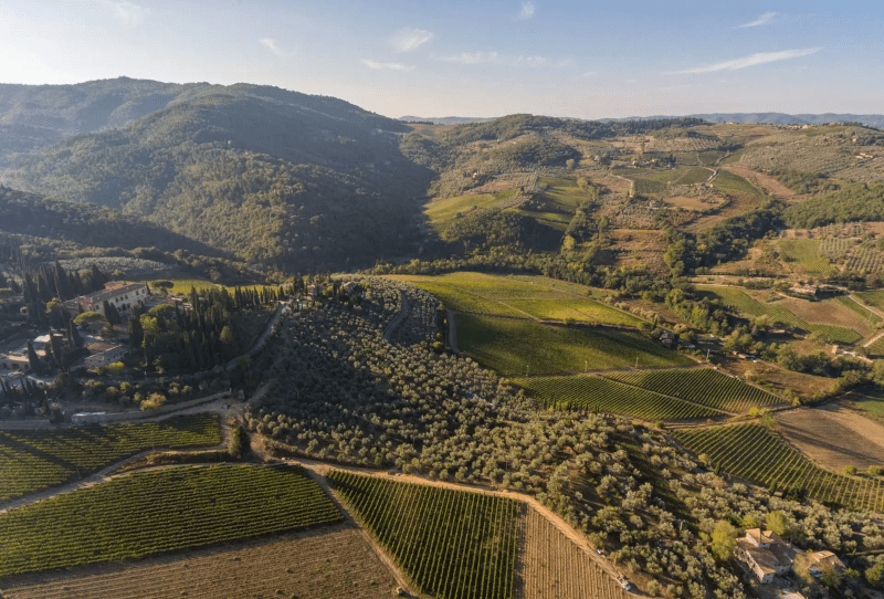 ヴィニャマッジョ・ワイナリー ヴィニャマッジョ・ワイナリー