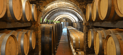 ファットリア・オルマンニ」のセラー