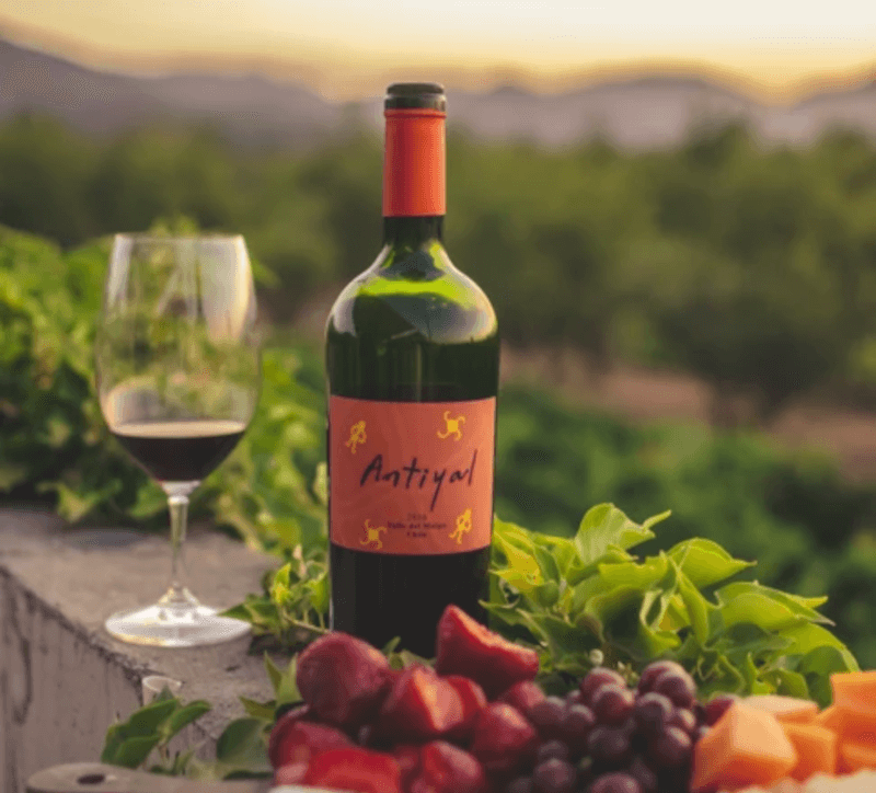 weingut-antiyal-weinberg-1 weingut-antiyal-weinberg-1