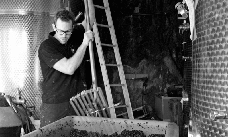 セラーで作業するフェリックス セラーで作業するフェリックス