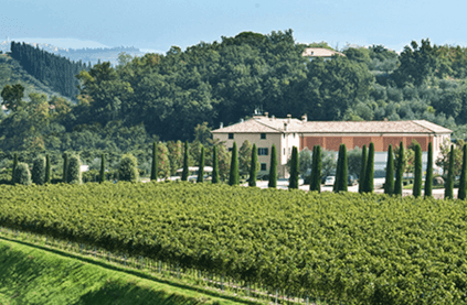 ボッラ ワイナリー