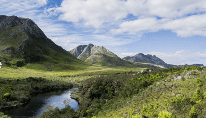 アフリカンプライド ザ・ケープ