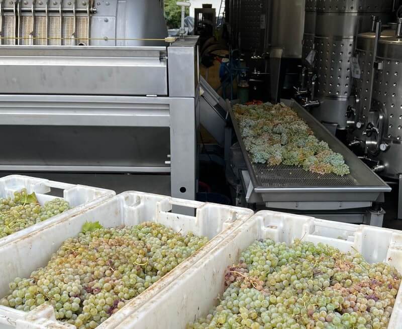 weingut-and_wines-weinberg weingut-and_wines-weinberg