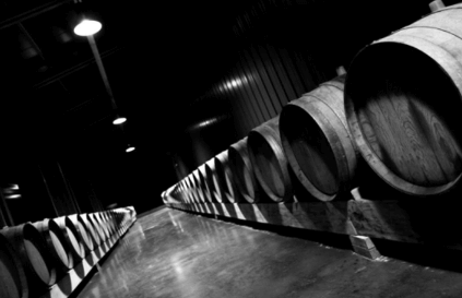 樽のあるセラー 樽のあるセラー